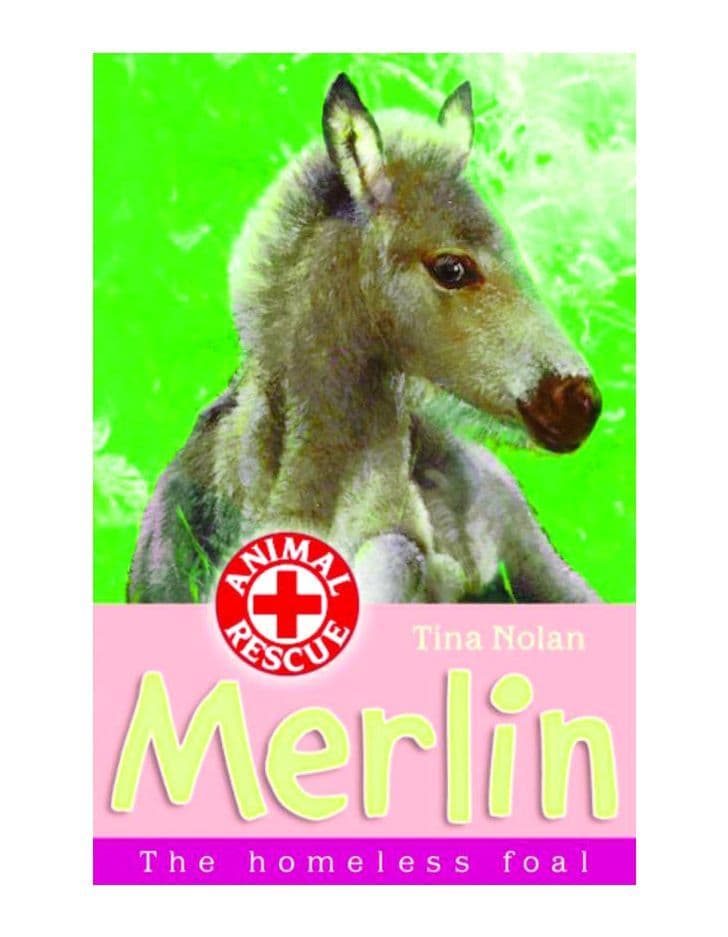 Merlin The Homeless Foal