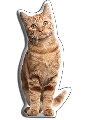 Pet Cushions Ginger Tabby Cat Gift - MIDI - Beautiful Strokable Cuddle Cushion – Made for cuddling up to. (Size H30 cms x W15 cms)