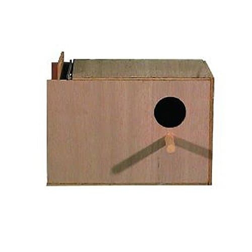 Goodspeed Southeast Right Hand Budgie Nest Box