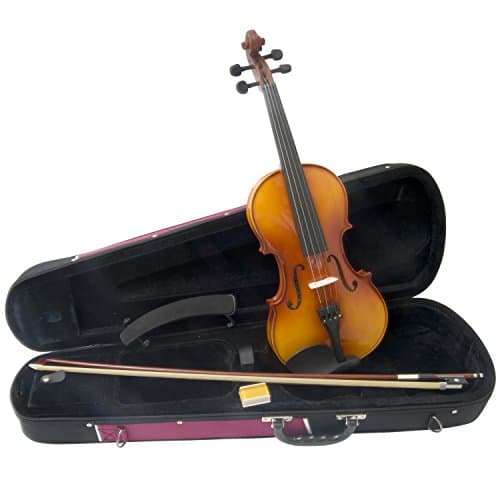 Theodore Childrens Violin - Standard Beginners 1/4 Size