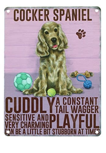 Cocker Spaniel Gold Themed Wall Metal Sign with Image and Description of Dog Made in UK