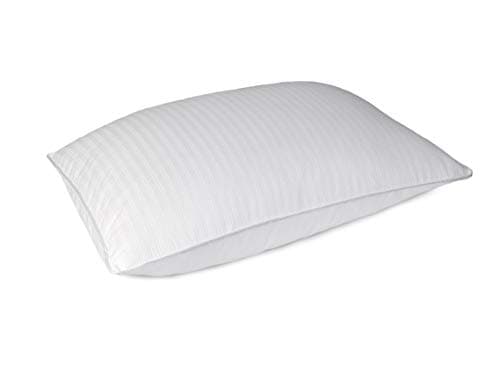 Blue Ridge Home Fashions 500 Thread Count Dot Pattern Hybrid Blend (Natural Down and Feather) Double Cover Pillow - Single Pack, Standard, White