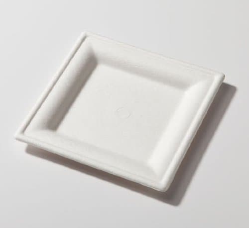 6" Biodegradable Square Plate Sugarcane (Pack of 300)