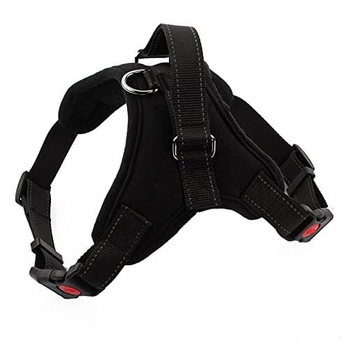 FirstWell Dog Harness for Large, Medium &amp; Small Breed - Leash Included; Reflective, Adjustable Harness With Handle. Excellent for Training, Walking, Hiking, Large Size, Black