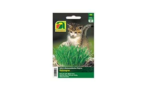 Cat Grass | Oats & Westerwoldish Raygras | This Pack is Enough for an Incredible 10 flowerpots with 10 cm Diameter
