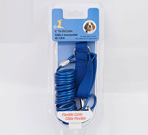 Medium Dog Coil Cable Tie Out With Nylon Handle Up To 60 LBS (6FT)