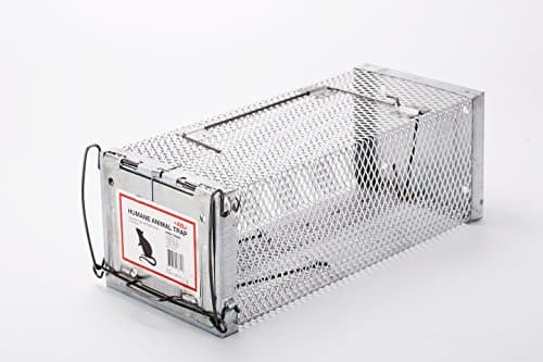 AB Traps Pro-Quality Live Animal Humane Trap Catch and Release Rats Mouse Mice Rodents Squirrels and Similar Sized Pests - Safe and Effective - 11.6" x 5" x 4.5" Single Door Bait Hook