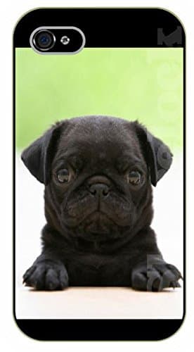 iPhone 6 Case Black pug, puppy - black plastic case / dog, animals, dogs