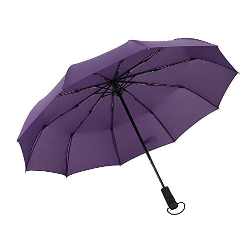 VANRAY Travel Umbrella Windproof 10 Ribs Folding Umbrella Automatic Open and Close Large Compact Umbrella, Purple