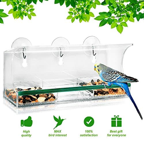 BirdieFancier Clear Window Bird Feeder with 3 Compartment Removable Tray, Drain Holes, Suction Cups With Hooks in Unique Packaging
