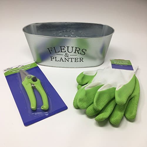 Garden Planter, Gloves & Pruner - Bundle