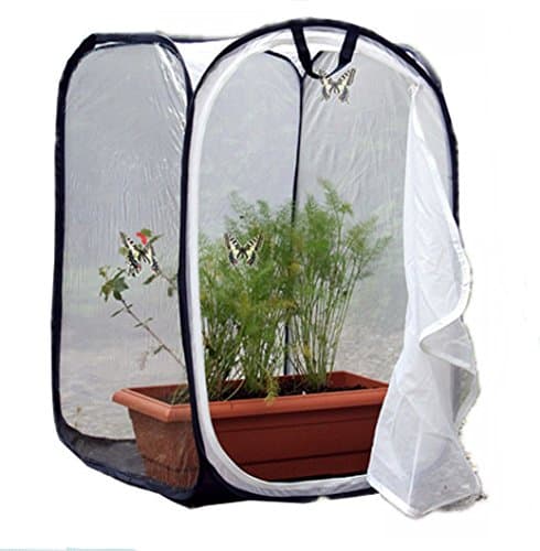 Butterfly Cage/terrarium Pop-up
