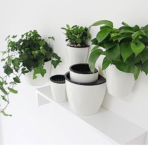 Gardening Multipurpose Creative Hanging Planter, Automatic Watering Flowerpot, Wall Mounted Plants Holder w/ Store Water Function?Perfect for Home or Office Decoration (Small?10.510.7cm?)