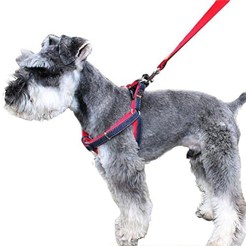 CUGLB No-Pull Dog Leash Harness Adjustable and Heavy Duty Denim Dog Training Walking Leash Collar for Large/Medium/Small Dog ¡­