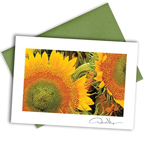 Single Sunflower Note Card Elegant Envelope Unique Birthday &amp; Christmas Gift