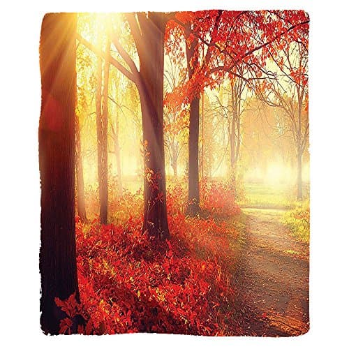 VROSELV Custom Blanket Fall Sun Beams through Misty Old Forest in Season Morning View Dreamy Scenic PictureWall for Soft Fleece Throw Blanket Light Yellow and Orange