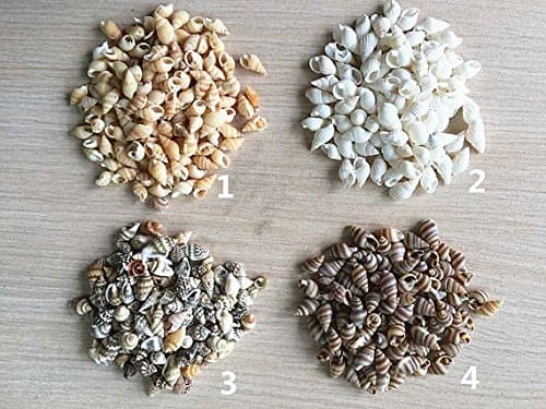 NewDreamWorld Mini Natural Tiny Seashells for Crafting Projects, DIY Decor, 6mm-10mm