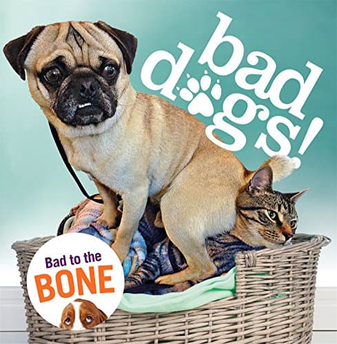 Bad Dogs Hardcover – October 25, 2016