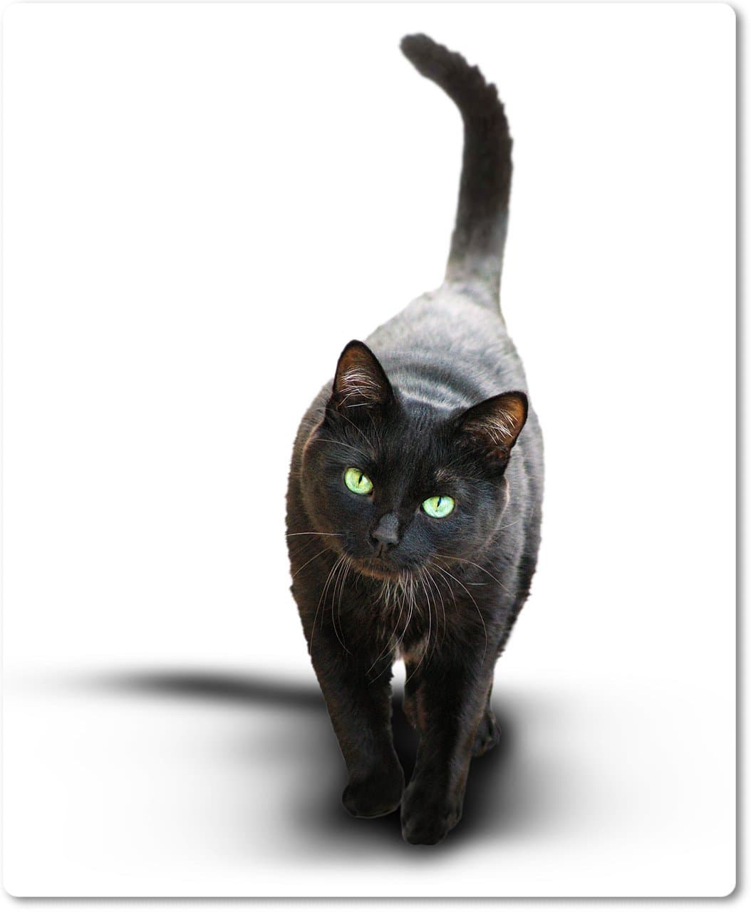 Mouse Mat [05] Black Cat with Green Eyes