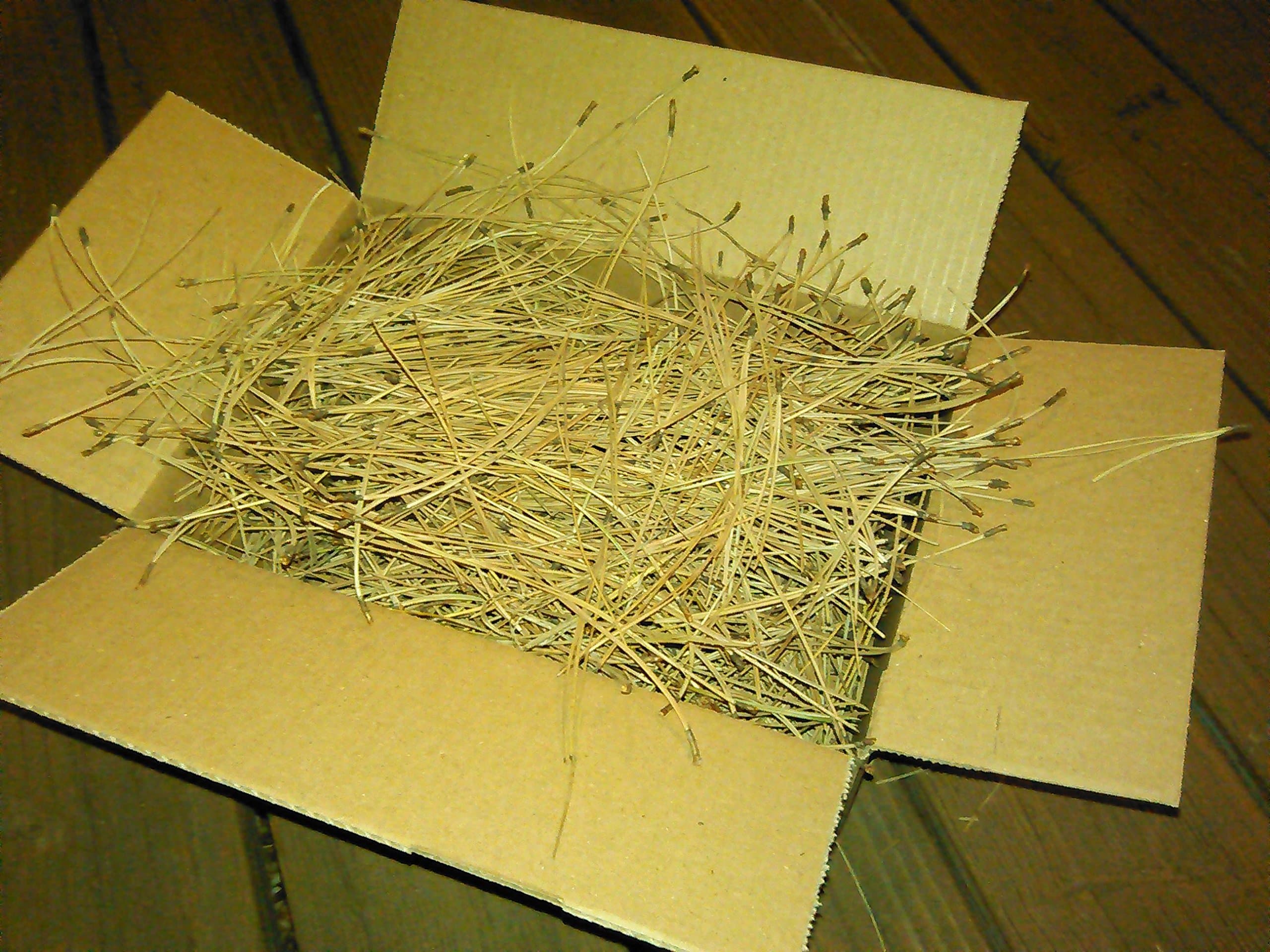 100% Natural Pine Needles (8 quart)