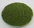Moringa Oleifera Leaf Powder (5 Kg / 11 Lb)