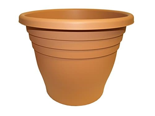 Ward 40 cm Ascot Plastic Planter - Natural