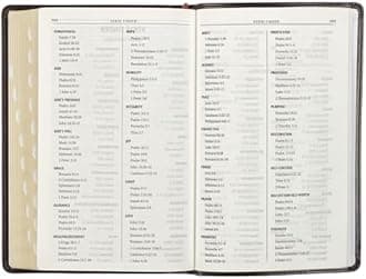 KJV Gift Edition Bible Dark Brown