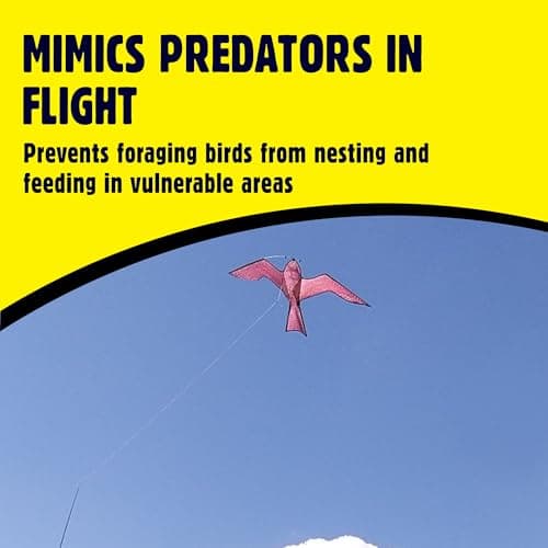 Hawk Kite Bird Scarer