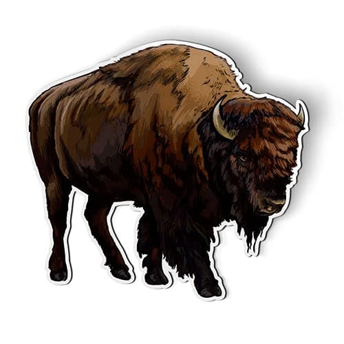 Buffalo Bison - 5.5" Magnet for Car Locker Refrigerator
