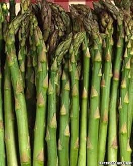 Radha Krishna Agriculture Asparagus Herb Seed F1 Hybrid Pack For Home Garden Planting And Gardening (Pack Of 1 Paket) (Asparagus).