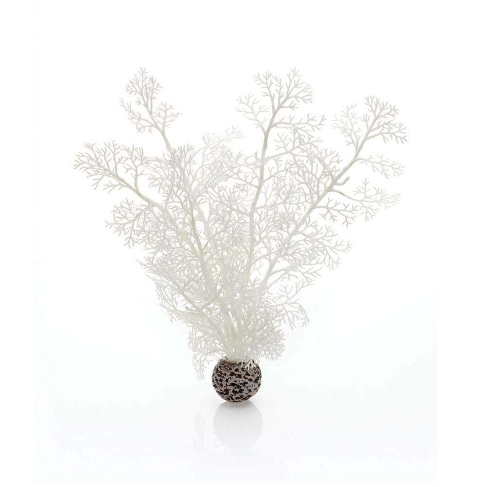 Sea Fan, Medium, White