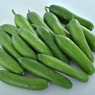 Variety of Cucumber Seeds, Planting Cucumbers, Vegetable Seeds, Easy to Grow, Non-GMO, Perfect for Harvesting, Green Light F1, Pack of 20