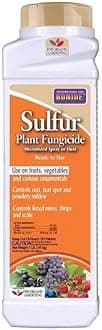 Bonide (BND141) - Sulfur Plant Fungicide, Organically Controls Rust, Leaf Spot and Powdery Mildew (1 lb.), Ready-to-Use