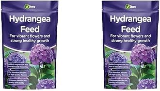 Vitax Hydrangea Feed 1KG (Pack of 2) - Fertilizer for Hydrangea Plants - Magnesium and Iron Boost Flowering - 2 Packs of 1KG Granules