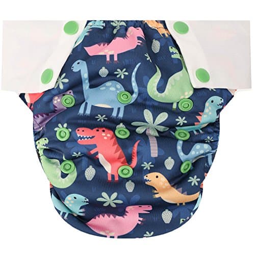 HappyEndings Big Kid Pull On Reusable Cloth Diapers/Training Pants (Large, (Fits 45-65 Pounds), Dinosaurs)