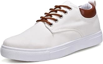 tazimall New Casual Sneakers for Men Lace-Up Canvas Shoes Low Top Walking Shoes