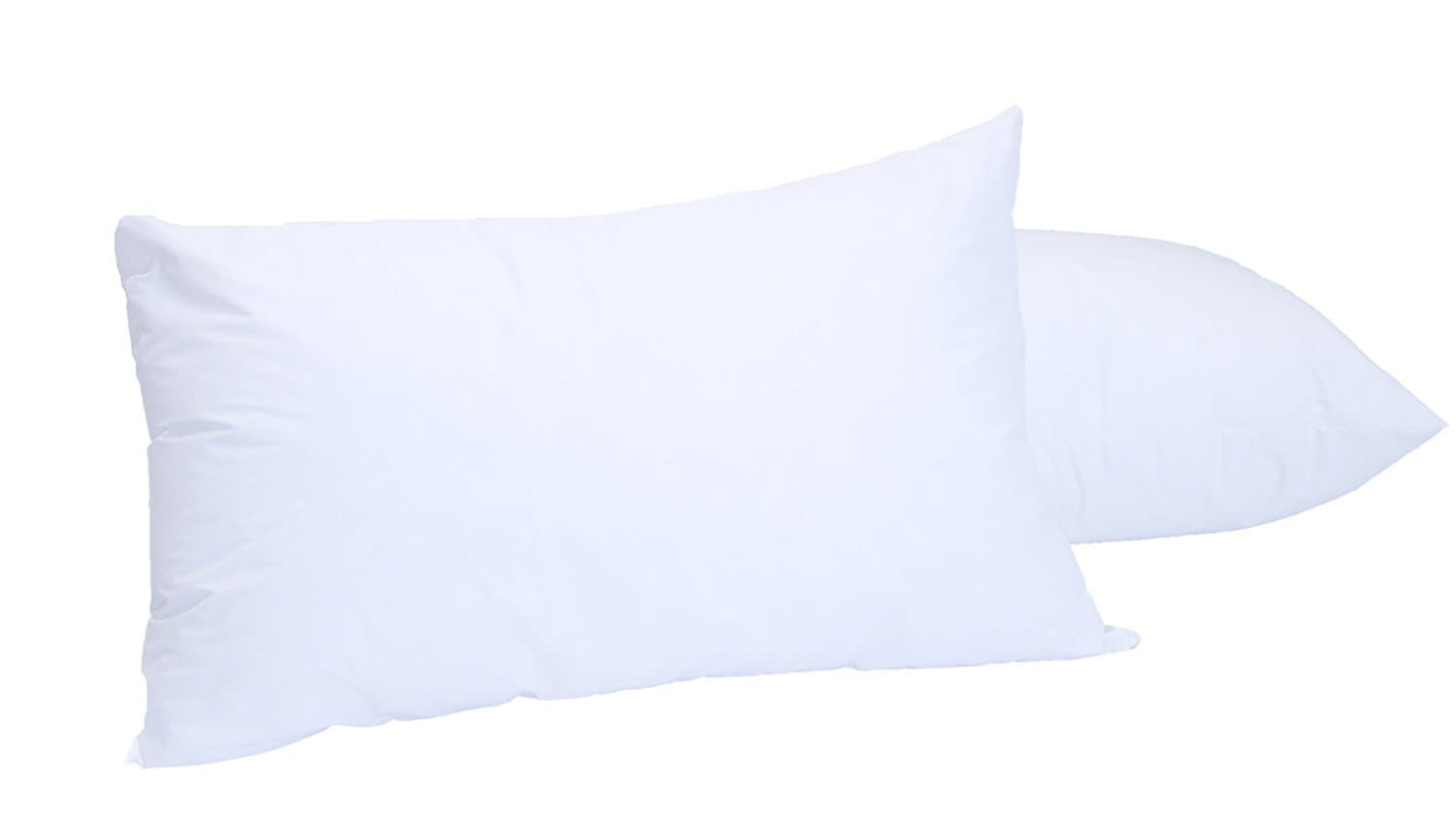 Digital Decor Set of 2 White Clear Fresh Down-Like Pillows - Recycled, Environmentally Friendly, and Sustainable! (Standard)
