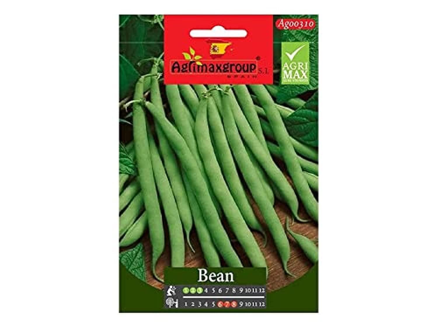 Green Bean Seeds