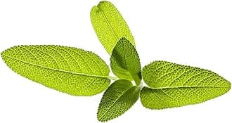 Click and GrowFarm Refill, Pack of 9 Garden Sage