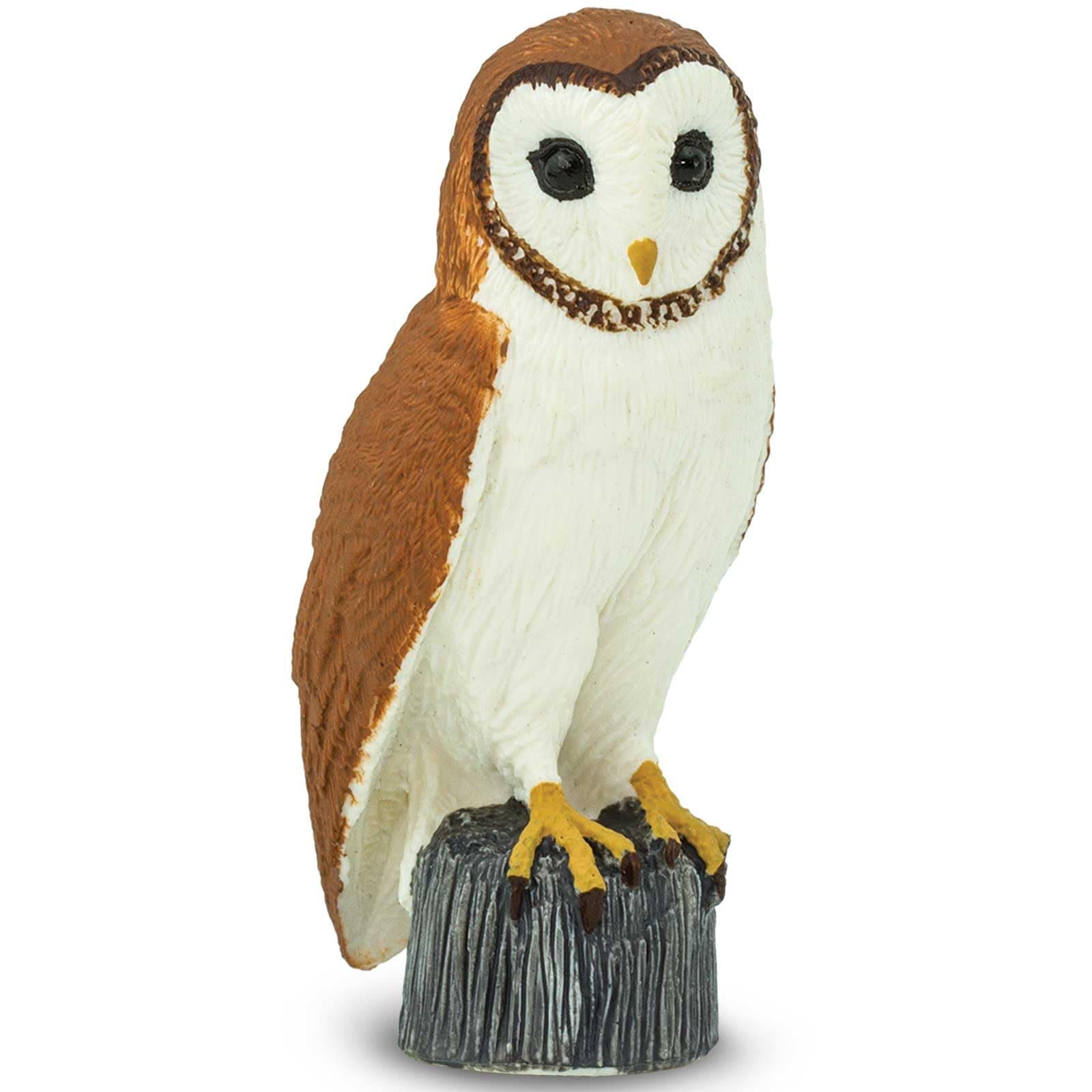 Safari Ltd. Barn Owl Figurine - Detailed 2.75" Plastic Model Figure - Fun Educational Play Toy for Boys, Girls & Kids Ages 3+