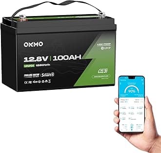 OKMO 12V 100Ah TM LiFePO4 Battery, 150A BMS with Bluetooth 1280Wh, 10 Years Lifetime 15000+ Deep Cycles,for Marine, RV, Trolling Motor, Boat, Camper, Low Temperature Protection