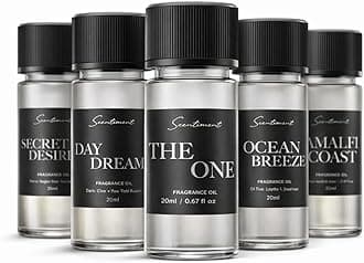 Scentiment Hotel Diffuser Oil Discovery Kit | Inspired By 1 Ritz-Carlton & Luxury Scents Aromatherapy Oils With Notes Of Cardamom, Tuscan Leather And Sandalwood (20Ml, Top 5