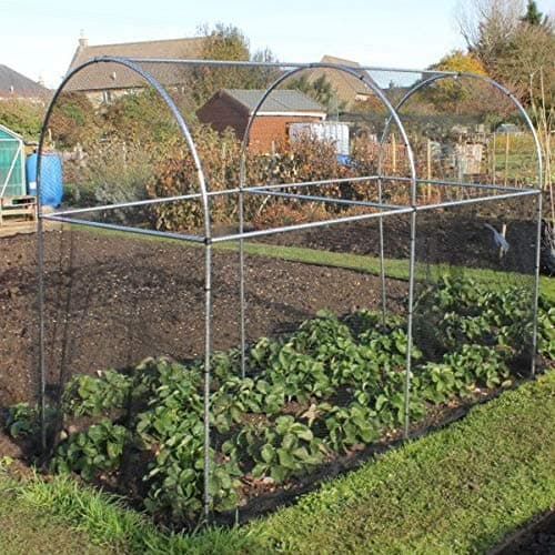 Tall Domed Fruit Vegetable Garden Cage Frame - Various (1.2m Long)