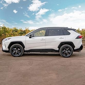 FE7-RAV4-19 Painted Body Side Molding Compatible with Toyota RAV4 - Silver Metallic (1D6)