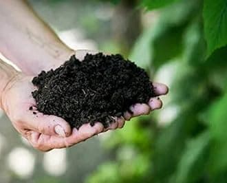 SAPRETAILER Cow Manure Organic Fertilizer 20Kg