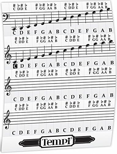 Tempi Piano Stickers for Keys (49/61 / 76/88) Notes Music Practice Tools for Musicians and Pianists