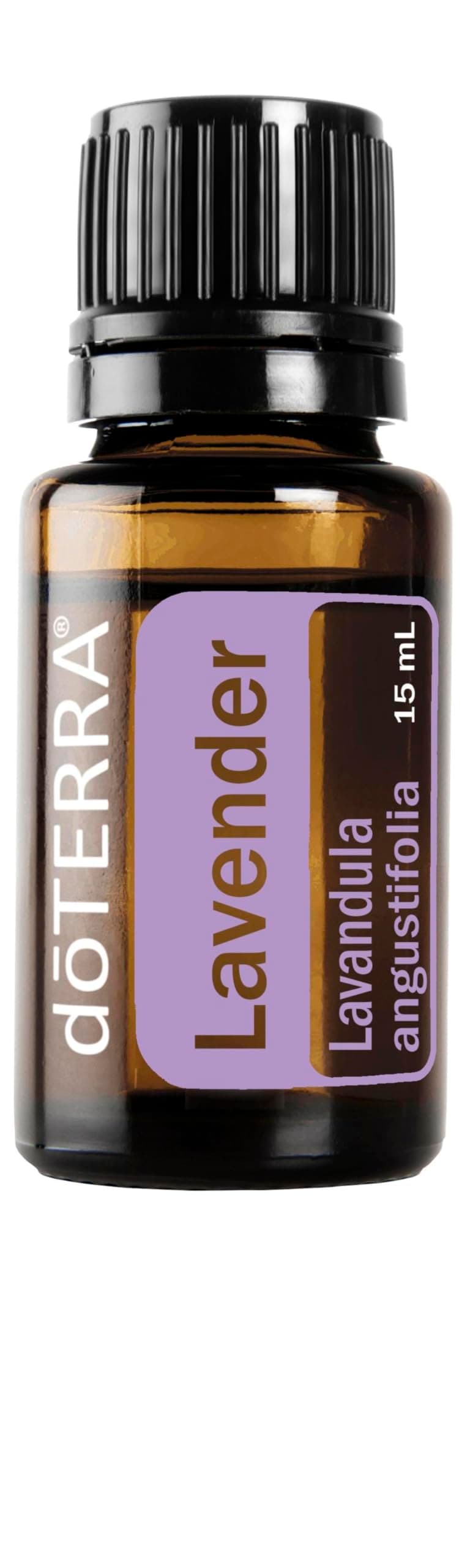 Lavender Essential Oil - 15 ml (Lavender)