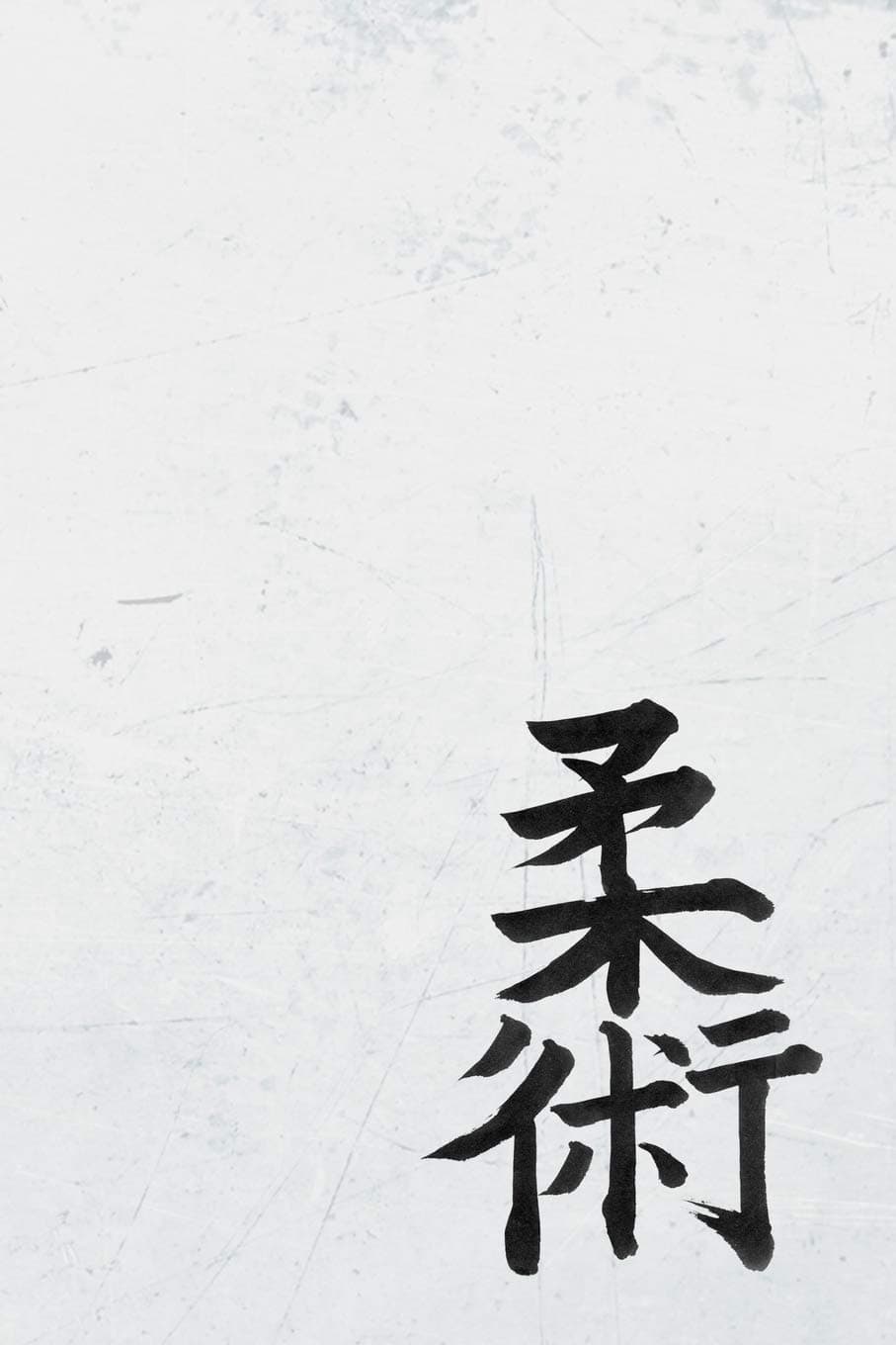 BJJ Training Journal: Jiu Jitsu Training Session Gift Journal For White Belts. Paperback – February 17, 2019