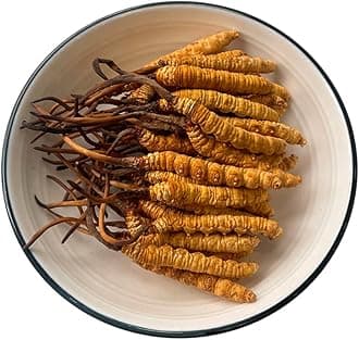 5 Gram 100% Wild Himalayan Cordyceps Sinensis Chinese Caterpillar Fungus Cordyceps Sinensis Wild Cordyceps,Dong Chong Xia Cao,Memory Support Immune Support,Natural Organic Herbal Supplements.