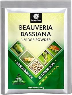 OrganicDews Beauveria Bassiana (1x10^8 CFU/g) Bio (250 g) for Plants
